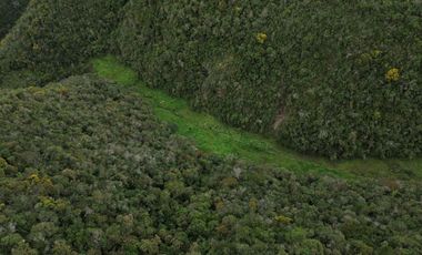 PROPIEDAD EN VENTA 10 HA. VICTORIA DEL PORTETE