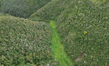 PROPIEDAD EN VENTA 10 HA. VICTORIA DEL PORTETE