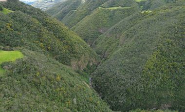 PROPIEDAD EN VENTA 10 HA. VICTORIA DEL PORTETE