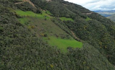 PROPIEDAD EN VENTA 10 HA. VICTORIA DEL PORTETE