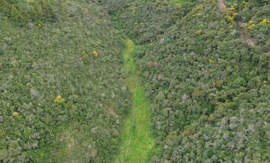 PROPIEDAD EN VENTA 10 HA. VICTORIA DEL PORTETE