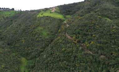 PROPIEDAD EN VENTA 10 HA. VICTORIA DEL PORTETE