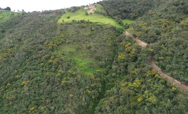 PROPIEDAD EN VENTA 10 HA. VICTORIA DEL PORTETE