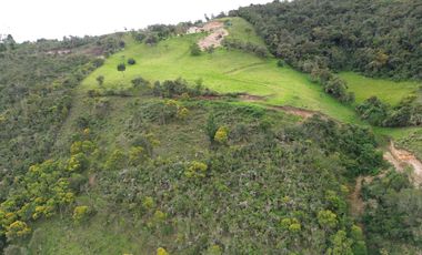 PROPIEDAD EN VENTA 10 HA. VICTORIA DEL PORTETE