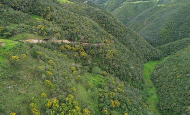 PROPIEDAD EN VENTA 10 HA. VICTORIA DEL PORTETE