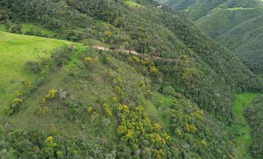 PROPIEDAD EN VENTA 10 HA. VICTORIA DEL PORTETE