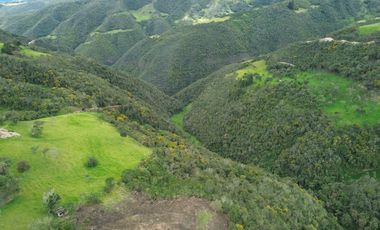 PROPIEDAD EN VENTA 10 HA. VICTORIA DEL PORTETE