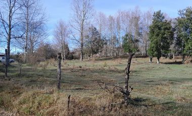 Parcela calidad indígena $27.000.000.- en Villarrica