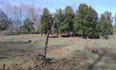 Parcela calidad indígena $27.000.000.- en Villarrica