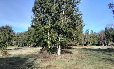 Parcela calidad indígena $27.000.000.- en Villarrica