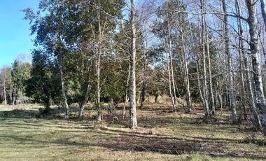 Parcela calidad indígena $27.000.000.- en Villarrica