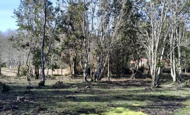Parcela calidad indígena $27.000.000.- en Villarrica
