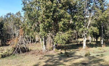 Parcela calidad indígena $27.000.000.- en Villarrica