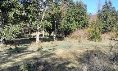 Parcela calidad indígena $27.000.000.- en Villarrica