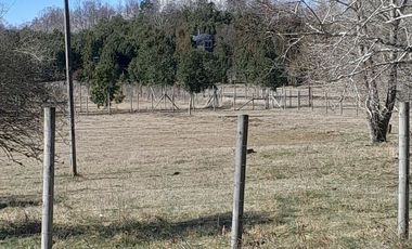 Parcela calidad indígena $27.000.000.- en Villarrica