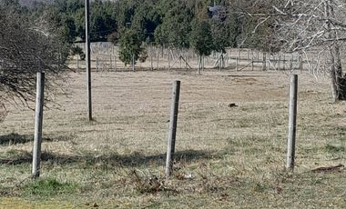 Parcela calidad indígena $27.000.000.- en Villarrica