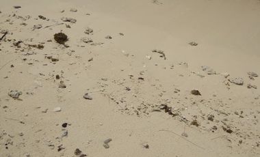 Dijual Cepat  Private Island Kepulauan Seribu - DKI Jakarta