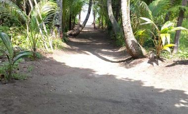 Dijual Cepat  Private Island Kepulauan Seribu - DKI Jakarta