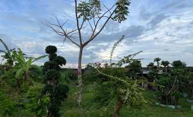 Dijaul Tanah 1040 m2 dalam  komplek perumahan Dewata Permai Sading, Mengwi, Badung.