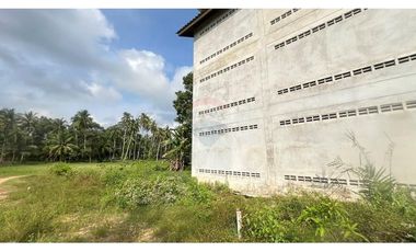 3-storey Swallow Nest House with a large plot of land in Tha Sala