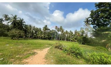 3-storey Swallow Nest House with a large plot of land in Tha Sala