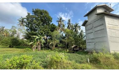 3-storey Swallow Nest House with a large plot of land in Tha Sala
