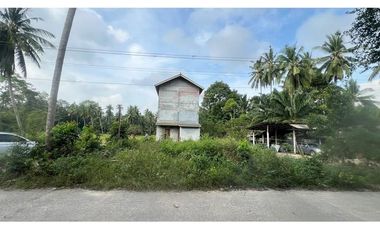 3-storey Swallow Nest House with a large plot of land in Tha Sala