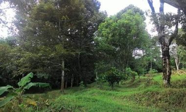 Jual Cepat & NEGO Tanah LUAS di Ungaran, Kab. Semarang