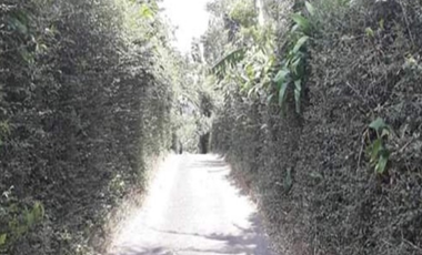 Jual Cepat & NEGO Tanah LUAS di Ungaran, Kab. Semarang