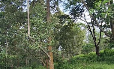 Jual Cepat & NEGO Tanah LUAS di Ungaran, Kab. Semarang