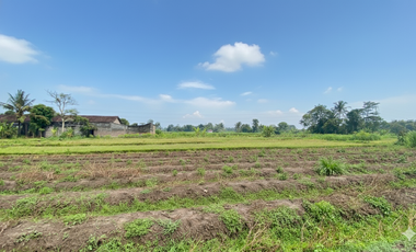 Tanah SHM Pandowoharjo, 3 Menit Resto Jejamuran. Promo Cicilan 0%