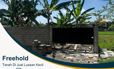 Land For Sale at Pemecutan Klod