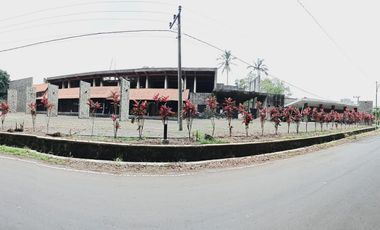 Dijual Ex.Resto & Home Stay Rindu Ijen, Licin-Banyuwangi