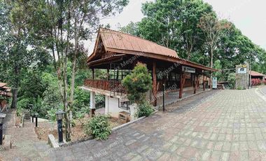 Dijual Ex.Resto & Home Stay Rindu Ijen, Licin-Banyuwangi