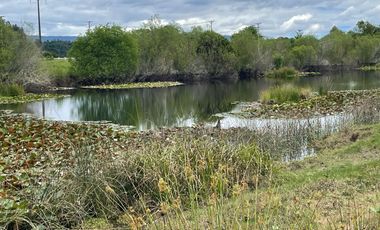 Se venden parcelas de agrado