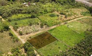 Venta de terreno en sucua, Terreno Morona Santiago, Terrenos baratos en la Amazonía, Terreno con vista al Río