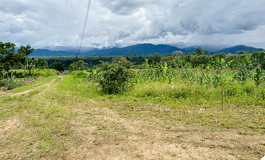 Venta de terreno en sucua, Terreno Morona Santiago, Terrenos baratos en la Amazonía, Terreno con vista al Río