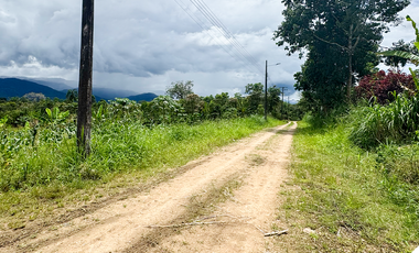 Venta de terreno en sucua, Terreno Morona Santiago, Terrenos baratos en la Amazonía, Terreno con vista al Río