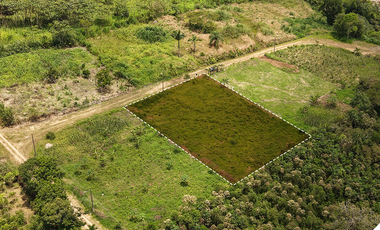 Terreno en venta en Sucúa, Terrenos con facilidades de pago, Terreno con vista a l Río, Terrenos baratos en Sucúa