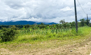 Terreno en Sucúa, Terreno en el paraíso de la Amazonía, Terrenos baratos en Sucúa, Terrenos con facilidades de pago en Sucúa