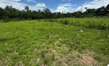 Terreno en venta en Sucúa, Venta de terreno en Marianita, Terreno barato en la Amazonía, Terreno con vista al Río