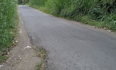 LAND IS READY TO BUILD, HAS A GOOD, CLEAR WATER SOURCE FROM MOUNT KINTAMANI