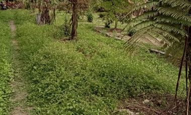 LAND IS READY TO BUILD, HAS A GOOD, CLEAR WATER SOURCE FROM MOUNT KINTAMANI