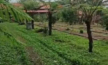 LAND IS READY TO BUILD, HAS A GOOD, CLEAR WATER SOURCE FROM MOUNT KINTAMANI