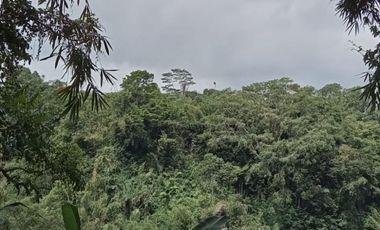 LAND IS READY TO BUILD, HAS A GOOD, CLEAR WATER SOURCE FROM MOUNT KINTAMANI