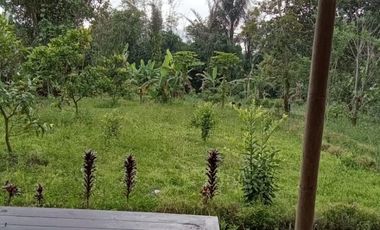 LAND IS READY TO BUILD, HAS A GOOD, CLEAR WATER SOURCE FROM MOUNT KINTAMANI