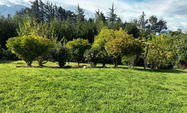 Rento hermosa Cotacachi 1000 m2