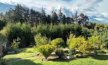 Rento hermosa Cotacachi 1000 m2