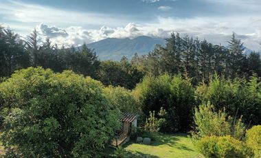 Rento hermosa Cotacachi 1000 m2