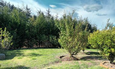 Rento hermosa Cotacachi 1000 m2